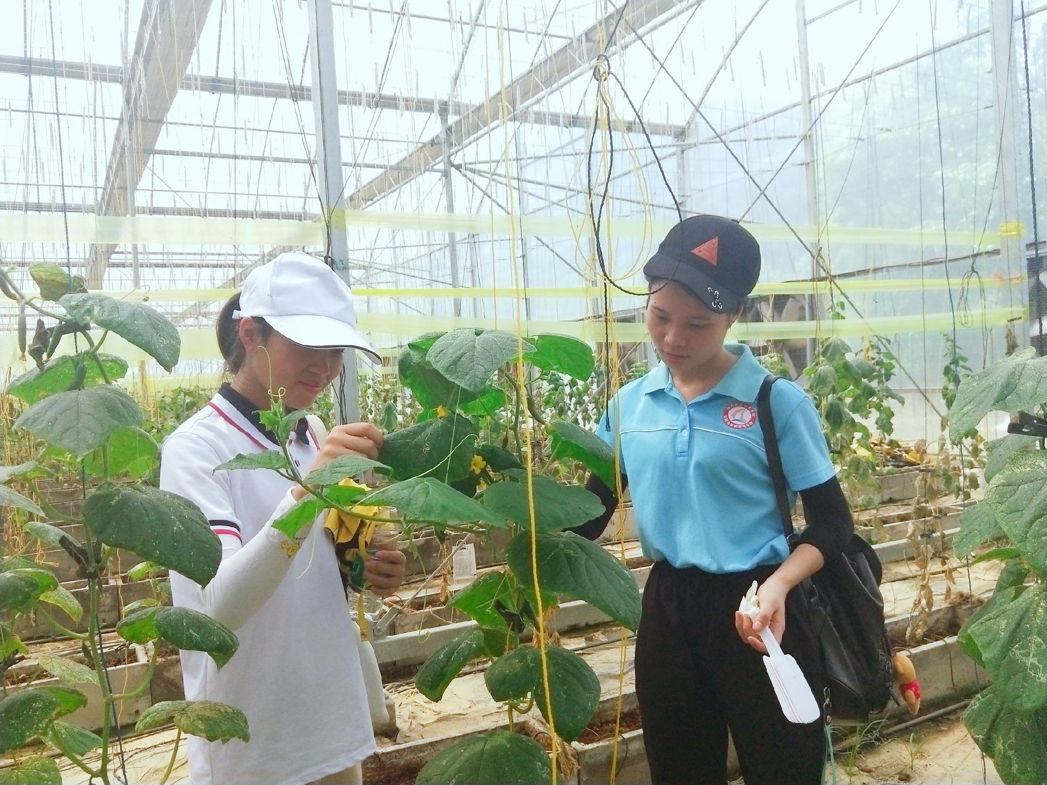 201910151940373676.jpg 201910151940373676.jpg