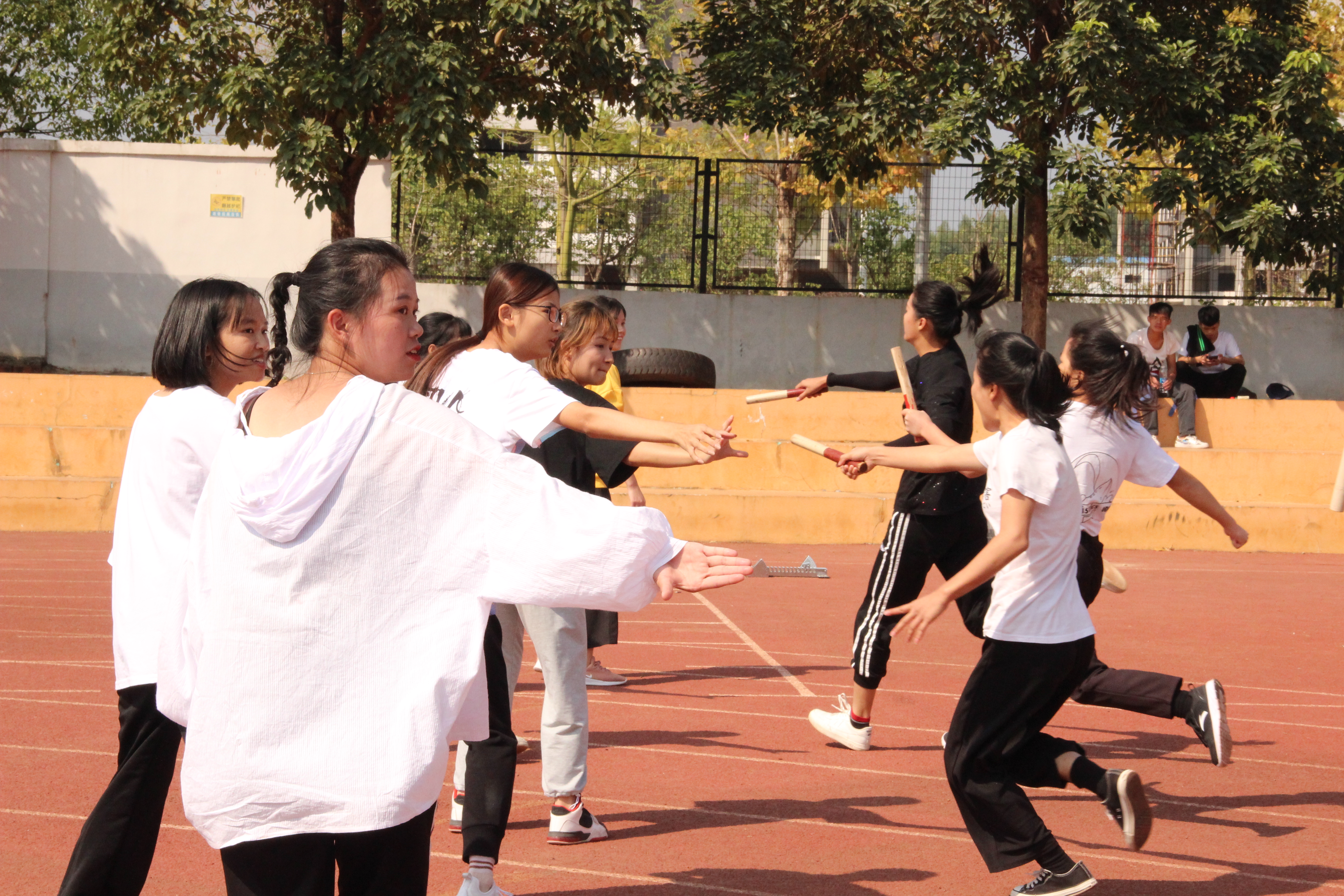 201911132159007281.JPG 201911132159007281.JPG