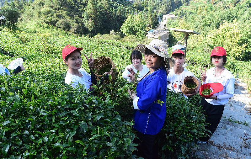 202207201930348035.png 202207201930348035.png