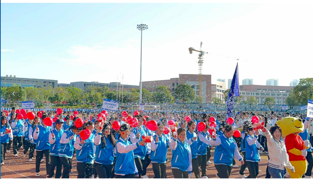 202410281550309902.png 202410281550309902.png