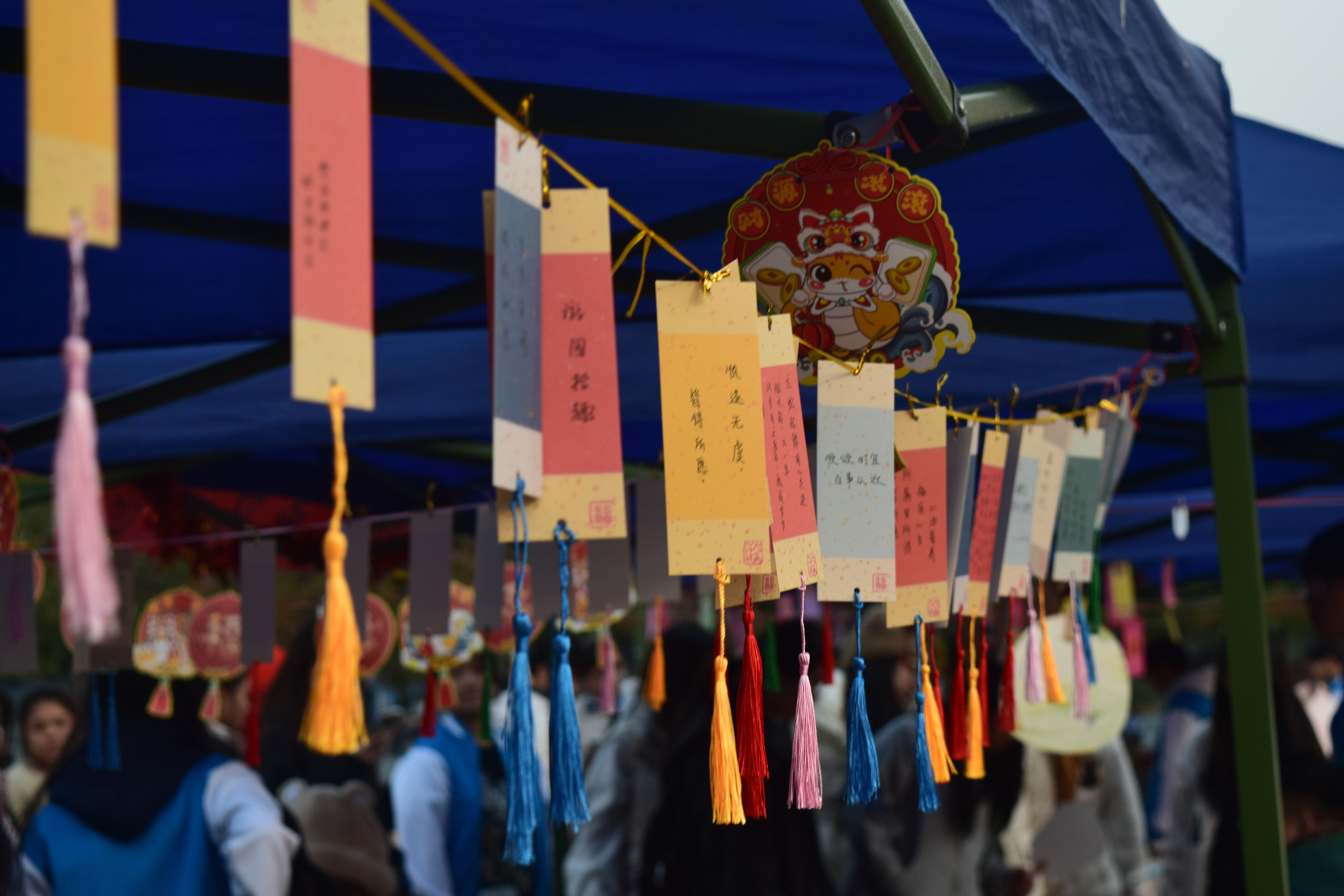 202412251445091138.JPG 202412251445091138.JPG