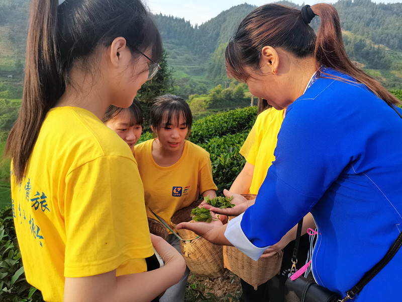 202107221906496857.jpg 202107221906496857.jpg