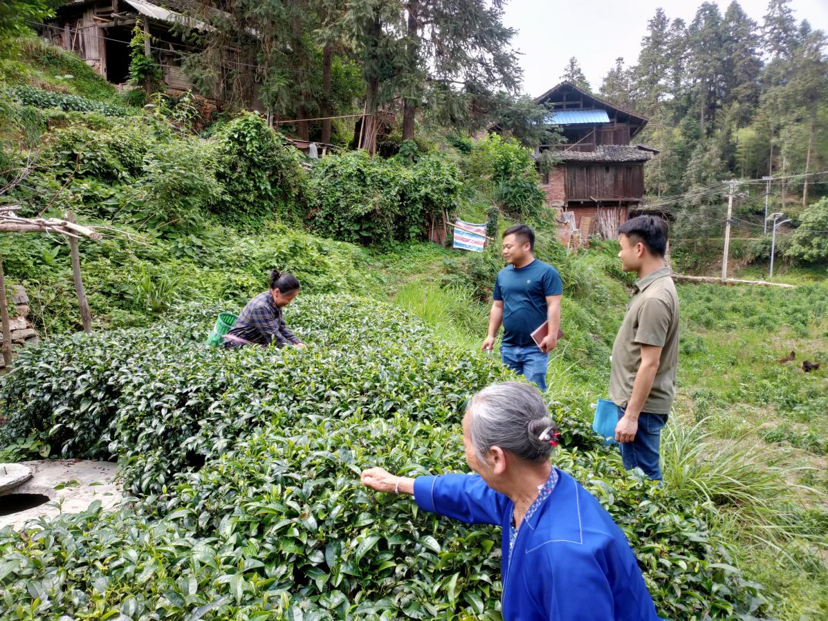 202305221550065351.Jpeg 202305221550065351.Jpeg