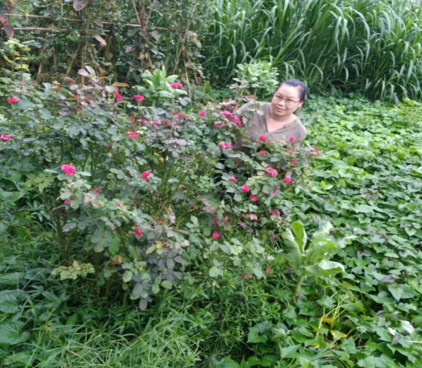 201808201036007163.png 201808201036007163.png