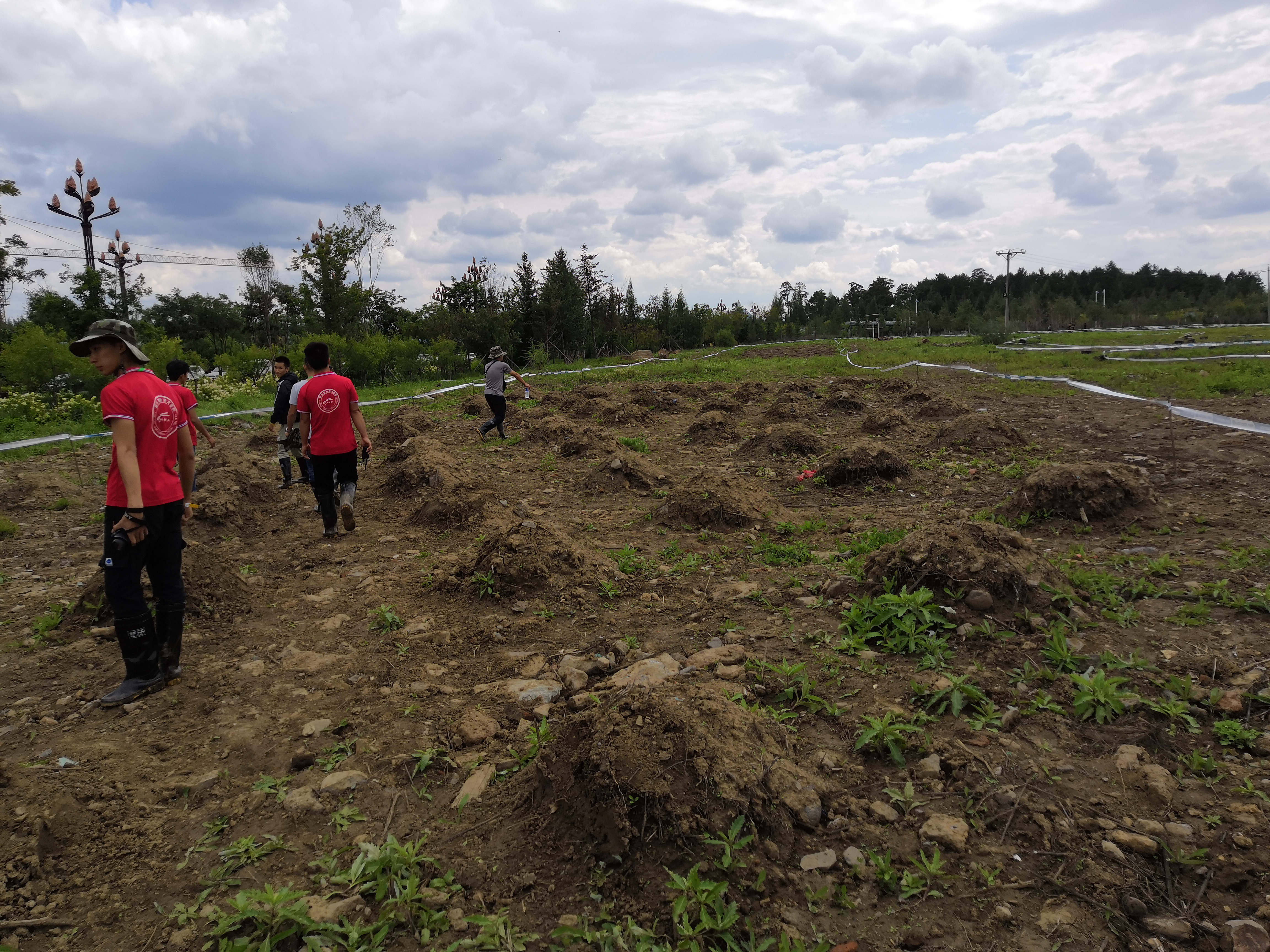 201909060815578960.png 201909060815578960.png