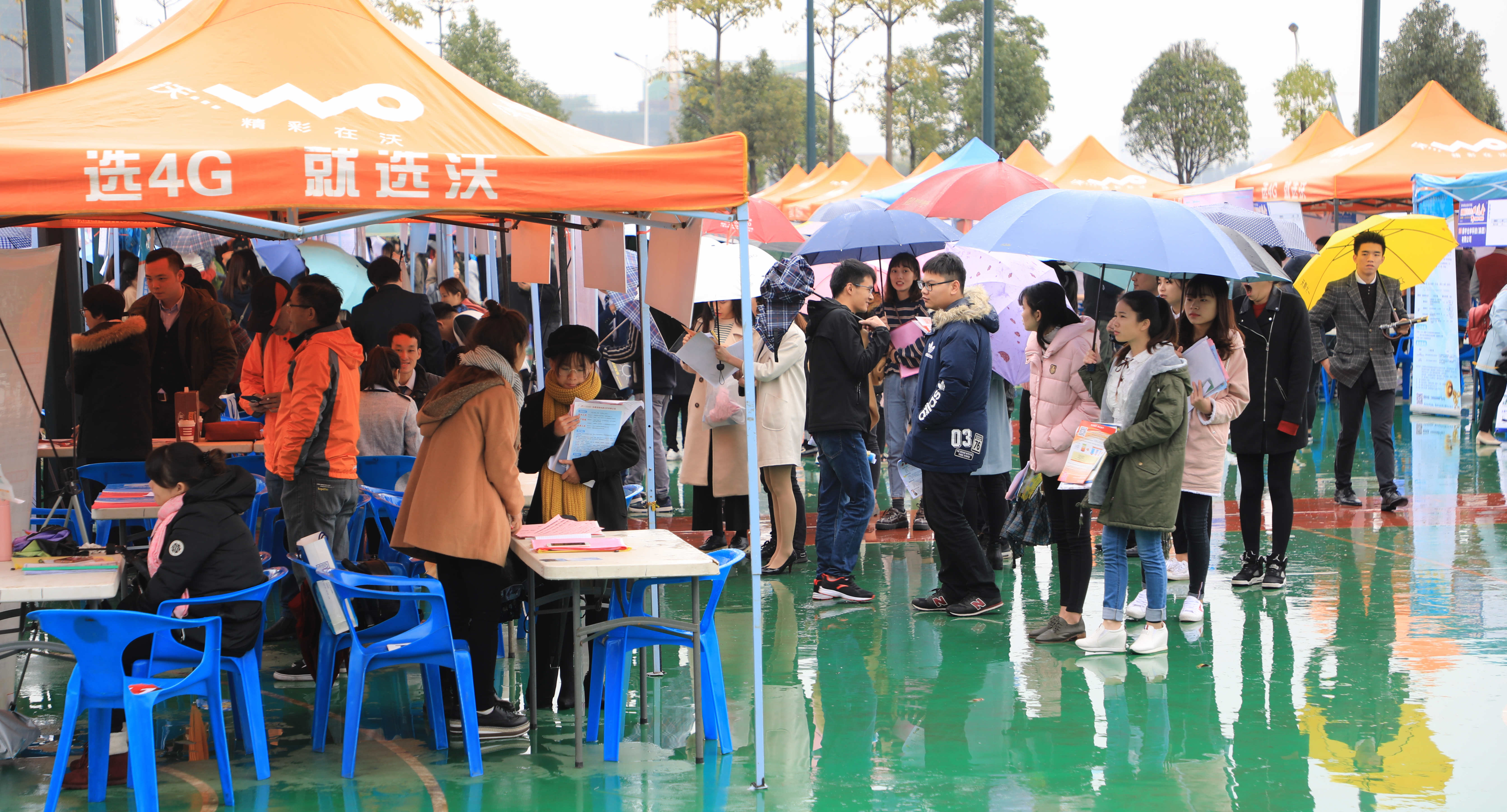 201711231824337176.jpg 201711231824337176.jpg