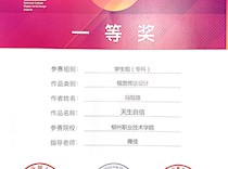 喜讯：我校学子斩获第七届全国高校数字艺术设计大赛一、二等奖