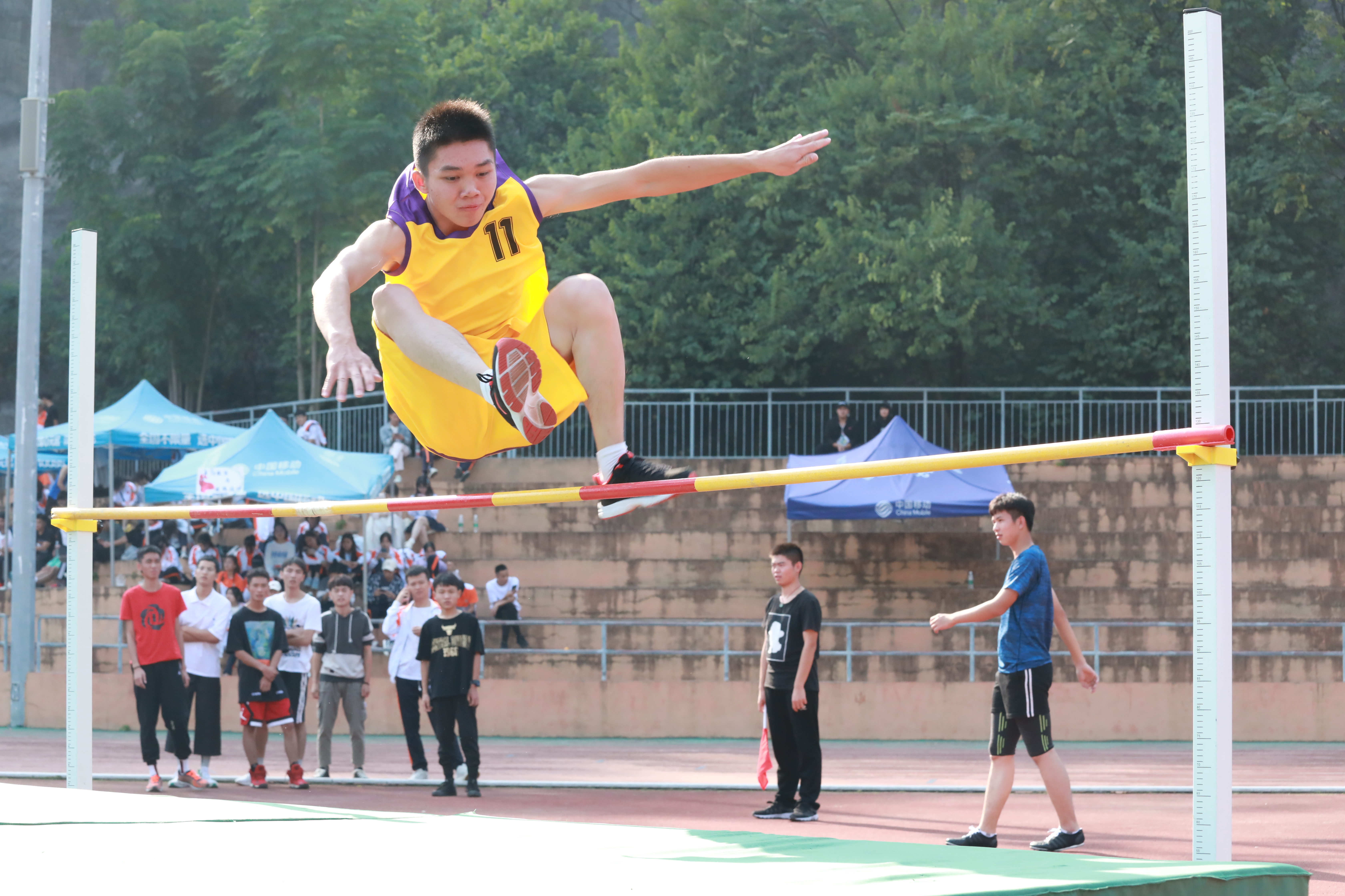 201911071201017856.JPG 201911071201017856.JPG