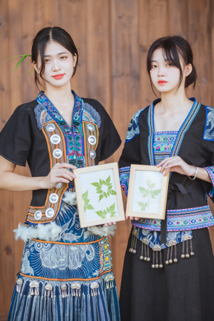 202210041226455622.png 202210041226455622.png