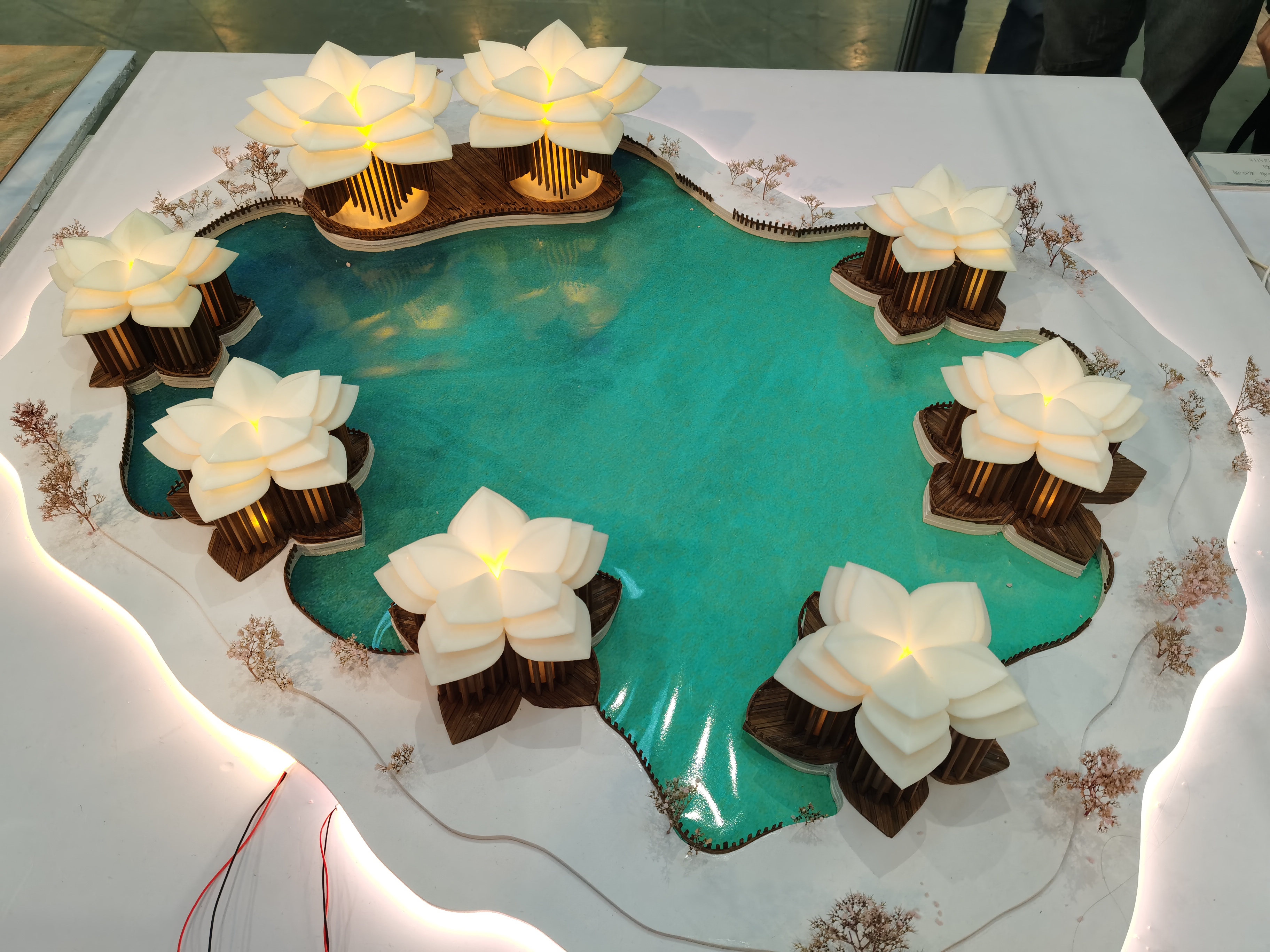 202303031625586742.jpg 202303031625586742.jpg