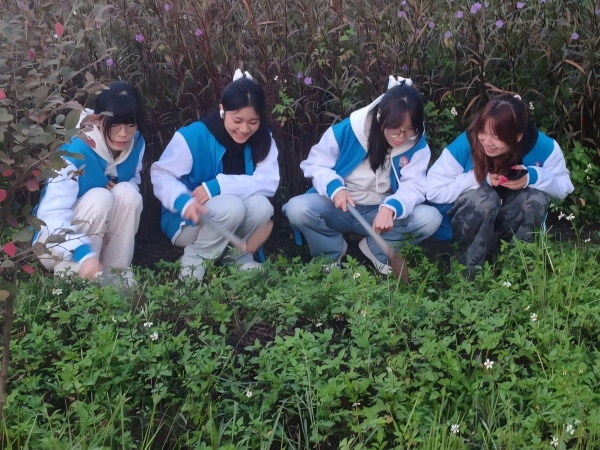 各个小组志愿者们积极讨论，奋力除草