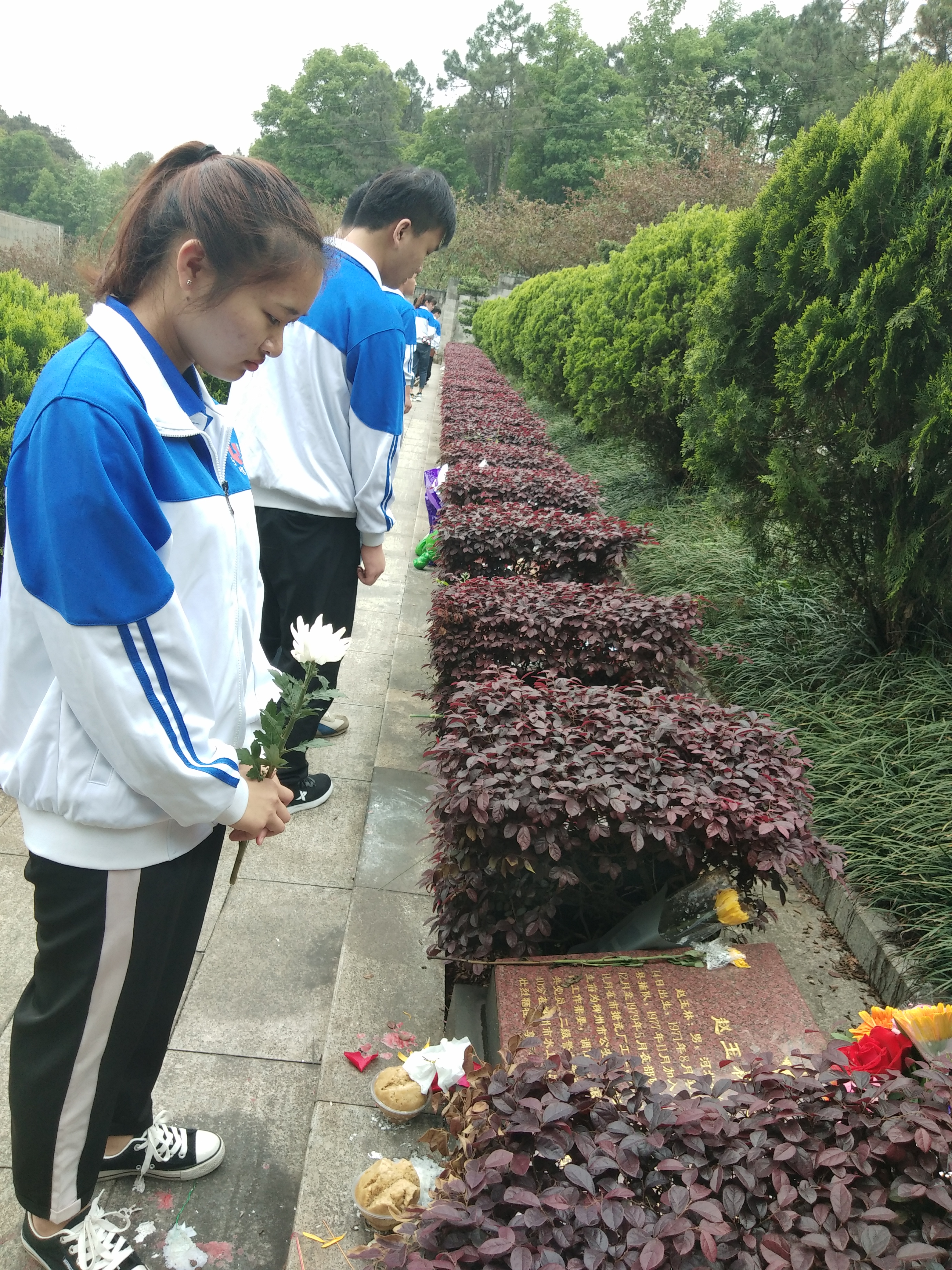 201904151214184363.jpg 201904151214184363.jpg