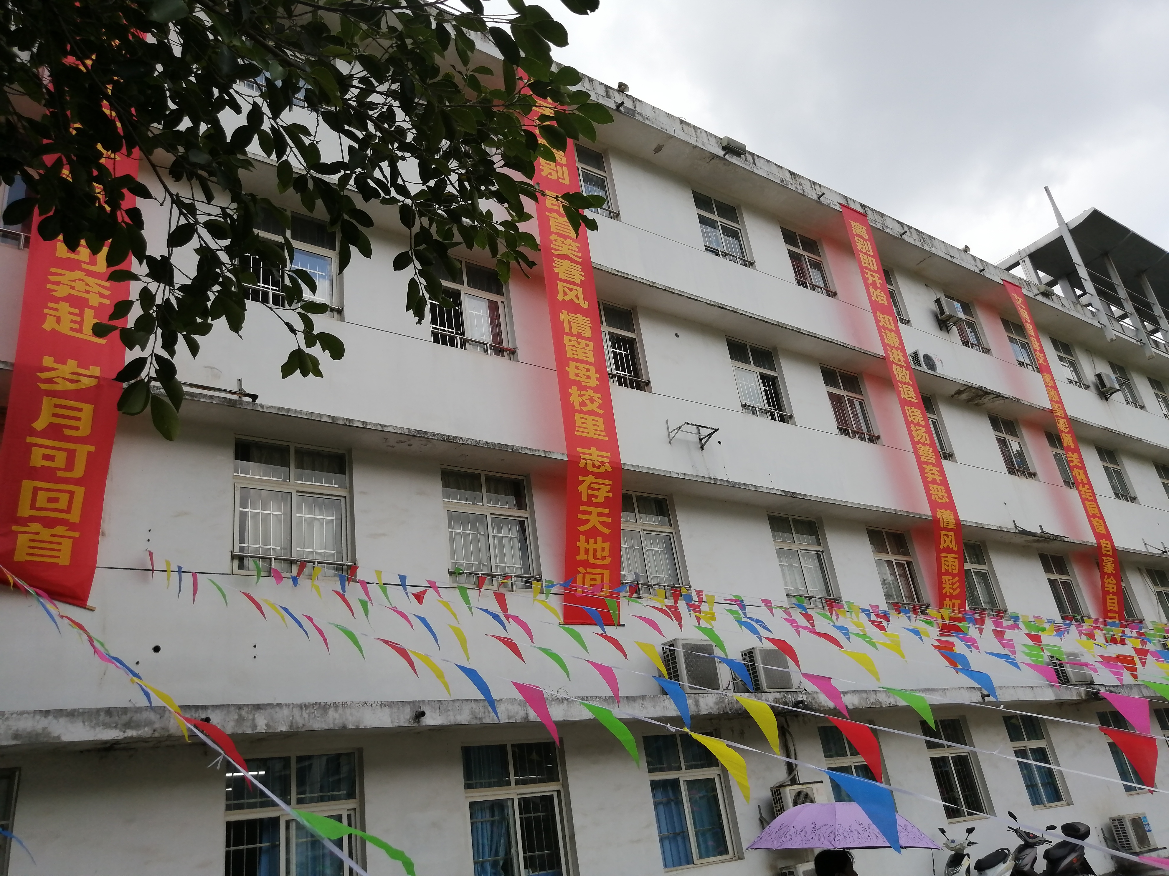 201907021108278979.jpg 201907021108278979.jpg