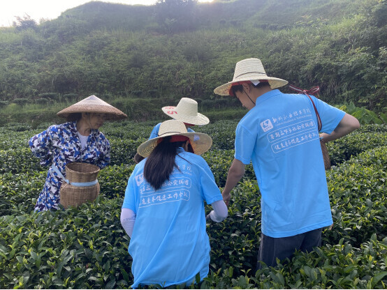 202207271746318840.png 202207271746318840.png