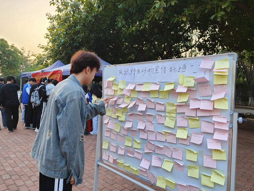 同学们粘贴保护动物的宣传标语