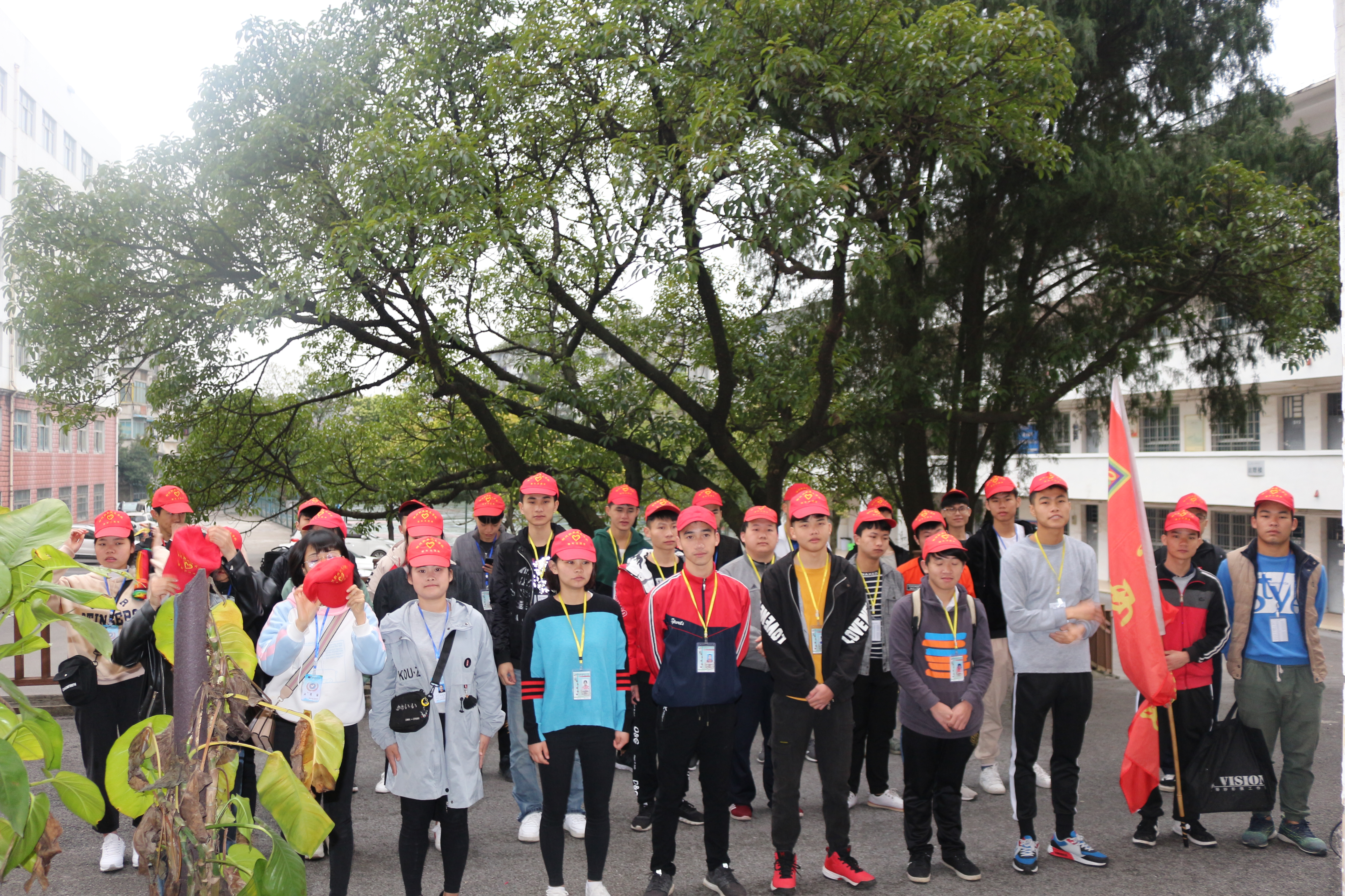 201903171548164939.JPG 201903171548164939.JPG