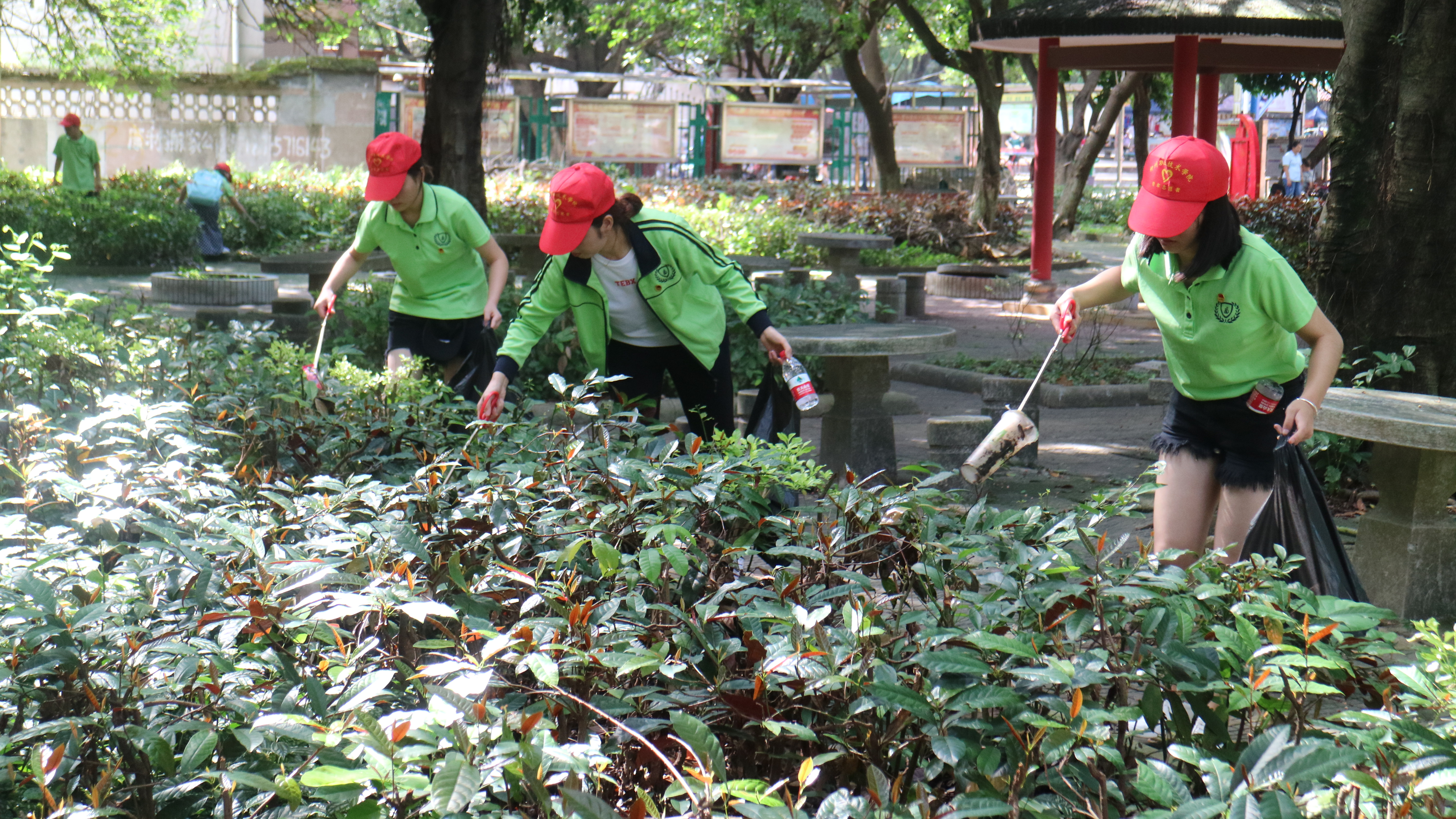 201906141346270177.jpg 201906141346270177.jpg