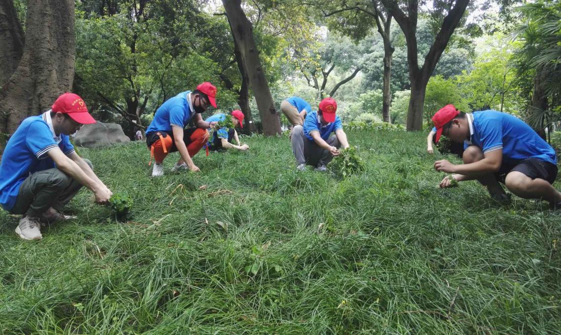 201904301120010677.Jpeg 201904301120010677.Jpeg