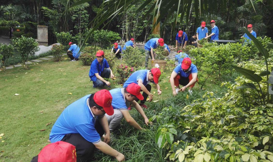 201904301120014955.Jpeg 201904301120014955.Jpeg