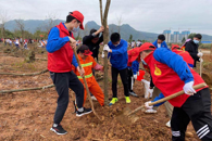 机电工程学院党总支新时代文明实践站系列活动之“美丽柳州，青春行动”植树活动