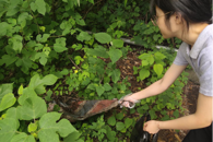 贸易与旅游管理学院团委开展“携手共创美丽校园”志愿服务活动