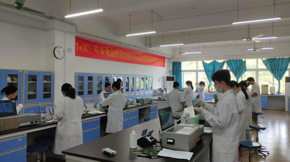 e45b09f2c2d2a12f36fe8448c0ef091a